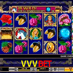 VVVBET Rio de Janeiro - Bonus Terms